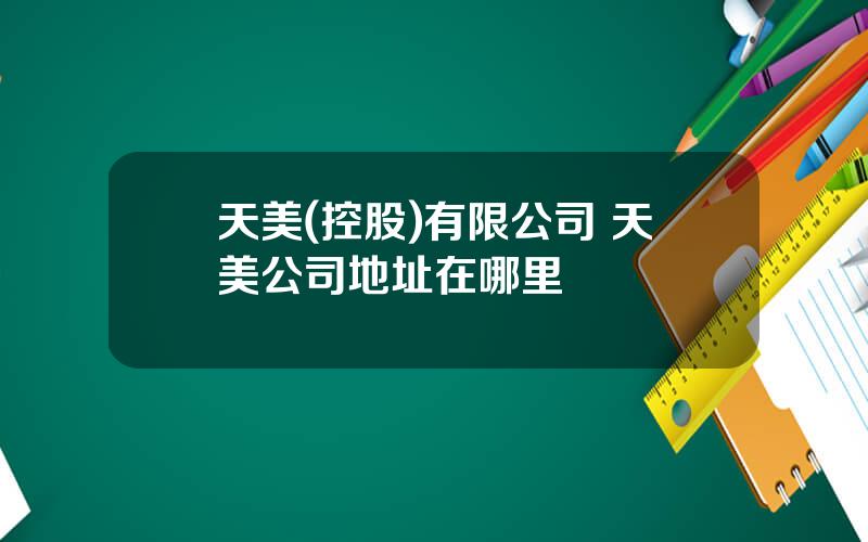 天美(控股)有限公司 天美公司地址在哪里